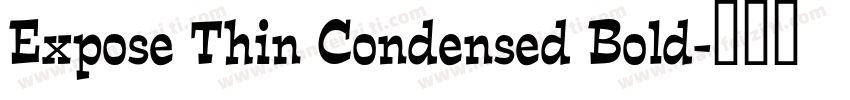 Expose Thin Condensed Bold字体转换
